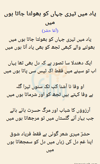 Yaad Mein Teri Jahan Ko Bhoolta Jata Hun Mein