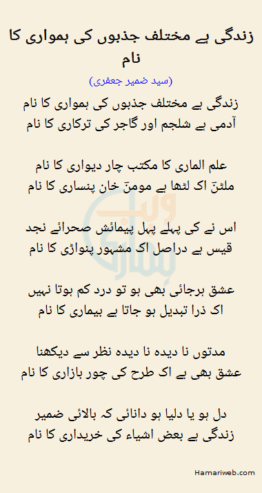 Zindagi Hay Mukhtalif Jazbon Ki Hamwari Ka Naam