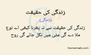 Zindagi Ki Haqeeqat Zindagi Ki Haqeeqat