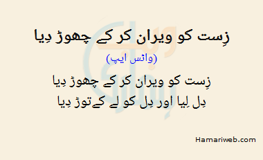 Zist Ko Veeran Kar Ke Chod Diya